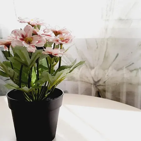 Pensión Lucia By Gaiarooms