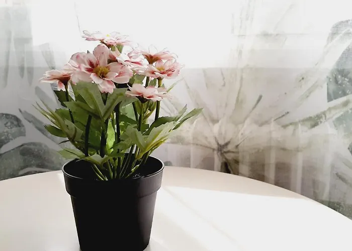 Gasthuis Lucia By Gaiarooms